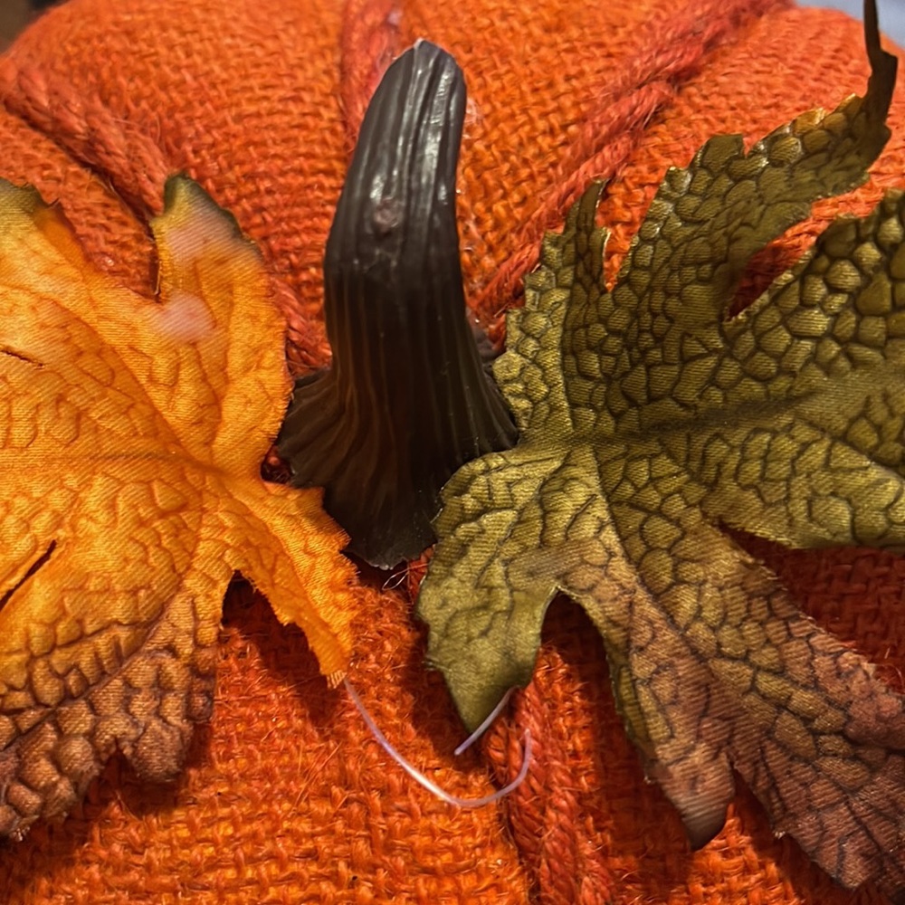 2 pumpkins đ - Picture 5 of 6